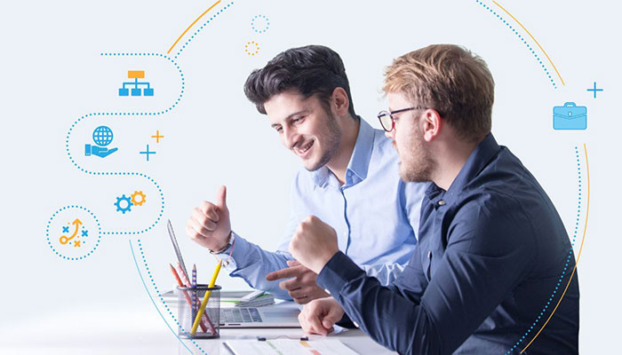 Software Consulting